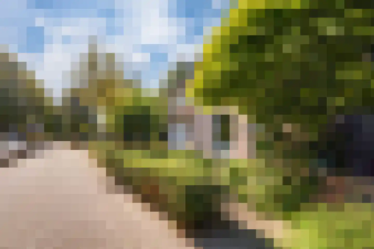 Hoedekenskerkestraat 13 Arnhem thumbnail 7