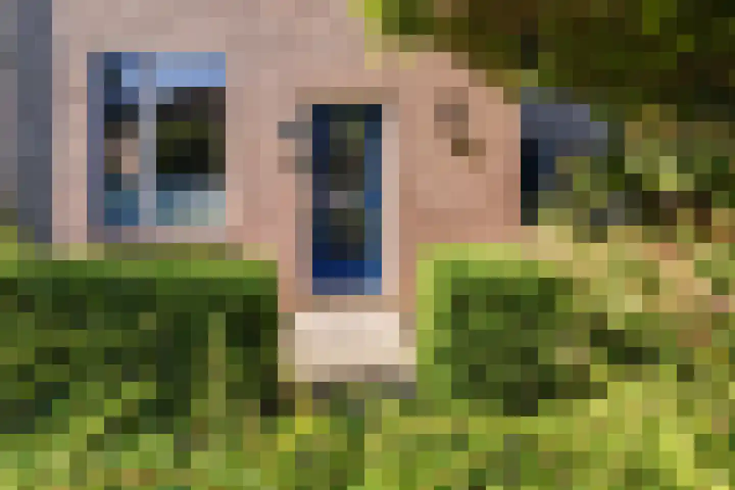 Hoedekenskerkestraat 13 Arnhem thumbnail 9