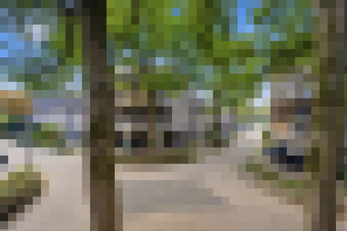 Hoedekenskerkestraat 28 Arnhem thumbnail 24