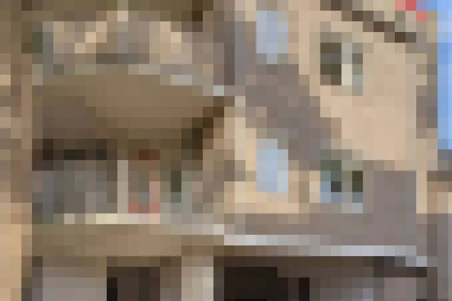 Hoedekenskerkestraat 28 Arnhem thumbnail 25
