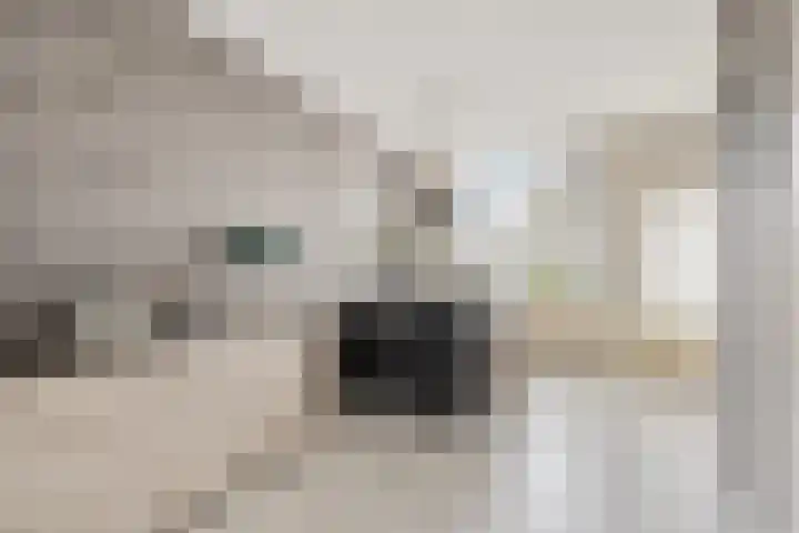 Hoedekenskerkestraat 5 Arnhem thumbnail 7