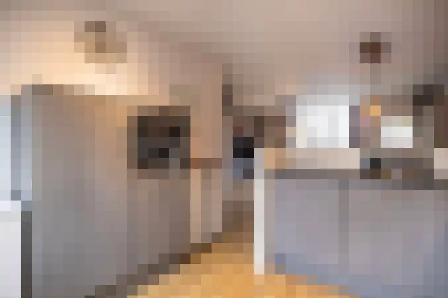 Hoedekenskerkestraat 50 Arnhem thumbnail 11