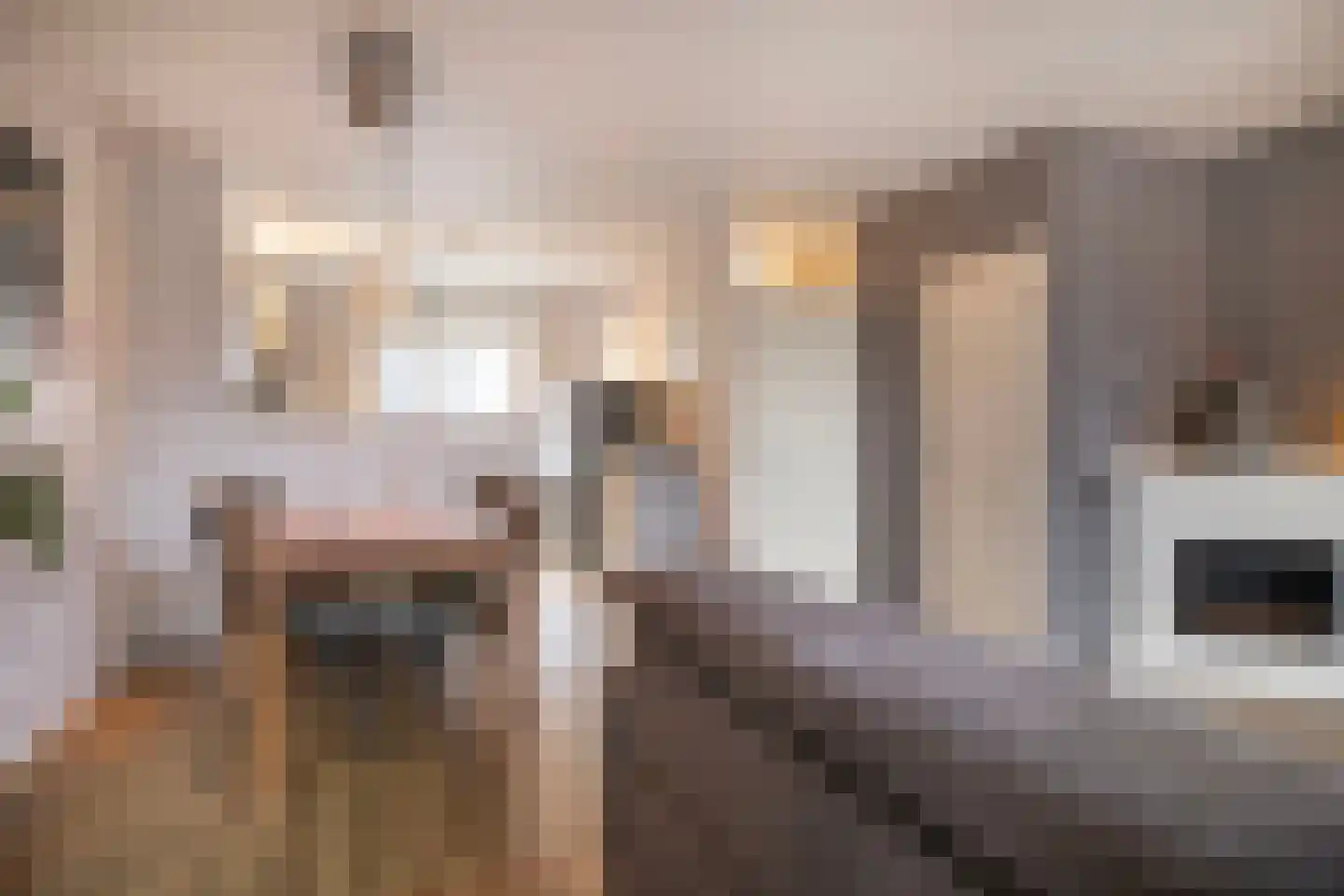 Hoedekenskerkestraat 50 Arnhem thumbnail 7