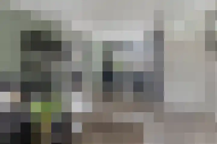 Hoedemakerlaan 12 Bergschenhoek thumbnail 11