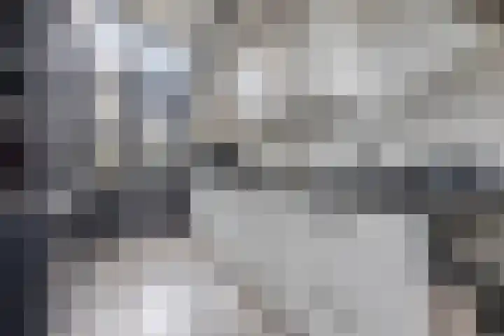 Hoedemakerlaan 12 Bergschenhoek thumbnail 14