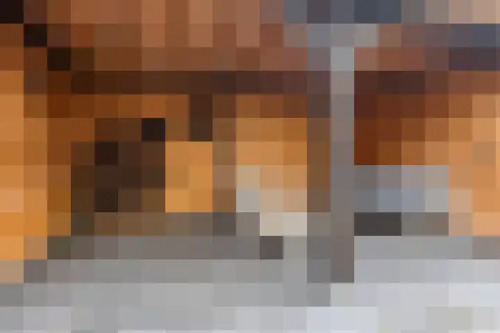 Hoedemakerlaan 12 Bergschenhoek thumbnail 17