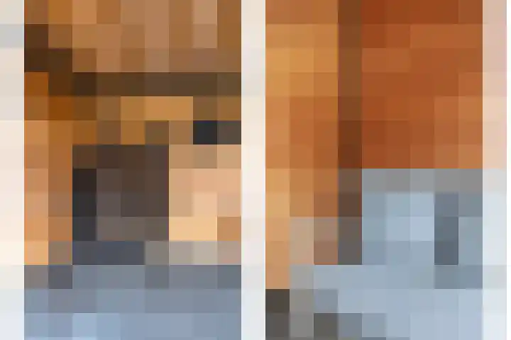 Hoedemakerlaan 12 Bergschenhoek thumbnail 18