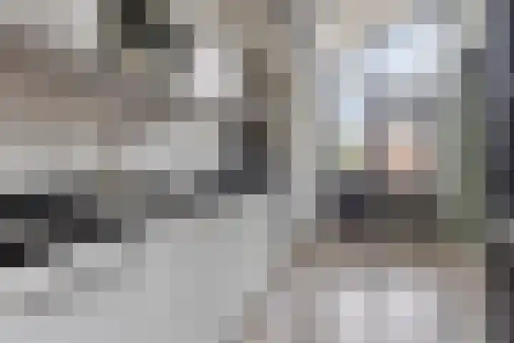 Hoedemakerlaan 12 Bergschenhoek thumbnail 20