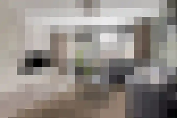 Hoedemakerlaan 12 Bergschenhoek thumbnail 21