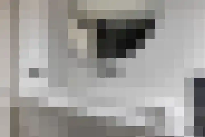 Hoedemakerlaan 12 Bergschenhoek thumbnail 28