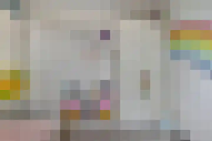 Hoedemakerlaan 12 Bergschenhoek thumbnail 31