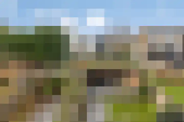 Hoedemakerlaan 12 Bergschenhoek thumbnail 35