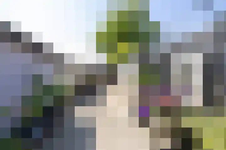Hoedemakersweg 8 Dokkum thumbnail 42