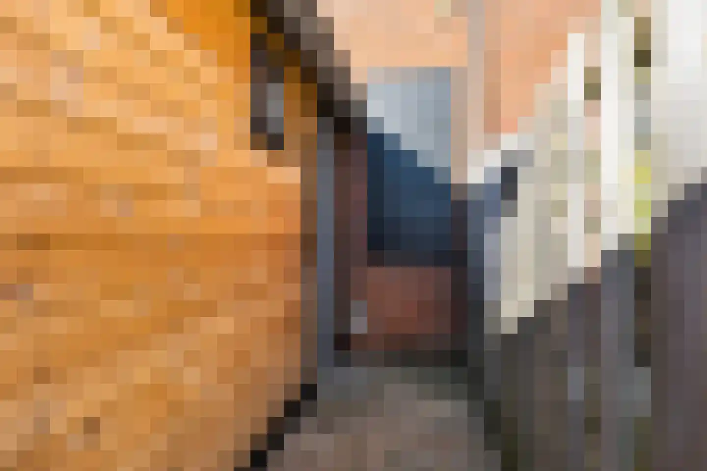 Hoedemakersweg 84 Dokkum thumbnail 26