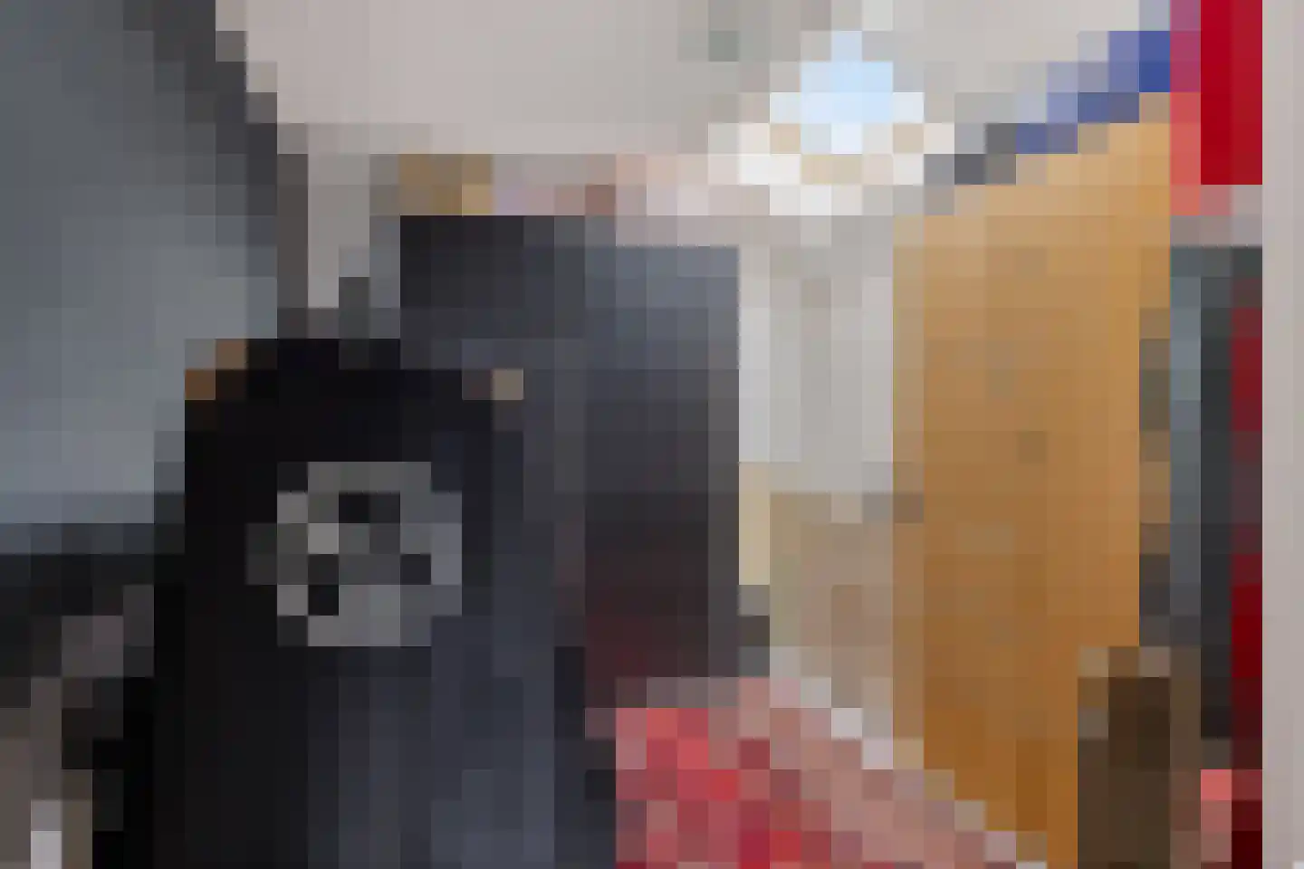 Hoedemakersweg 88 Dokkum thumbnail 19