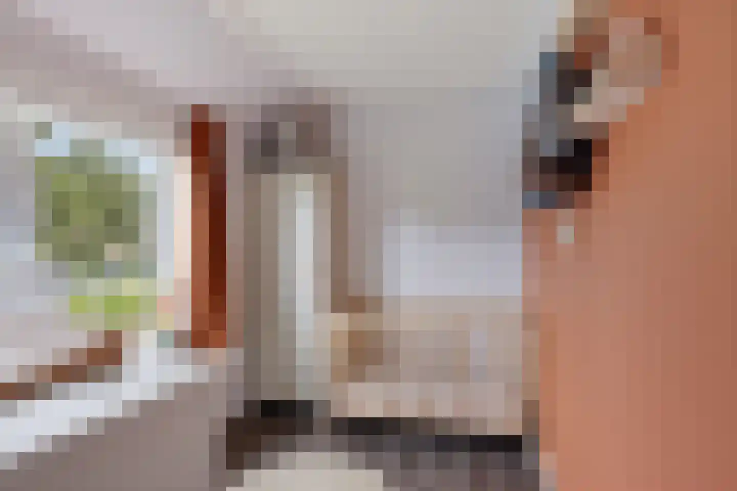 Hoedemakersweg 88 Dokkum thumbnail 20