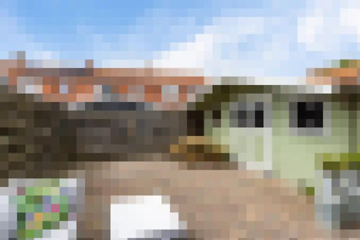 Hoedemakersweg 88 Dokkum thumbnail 28