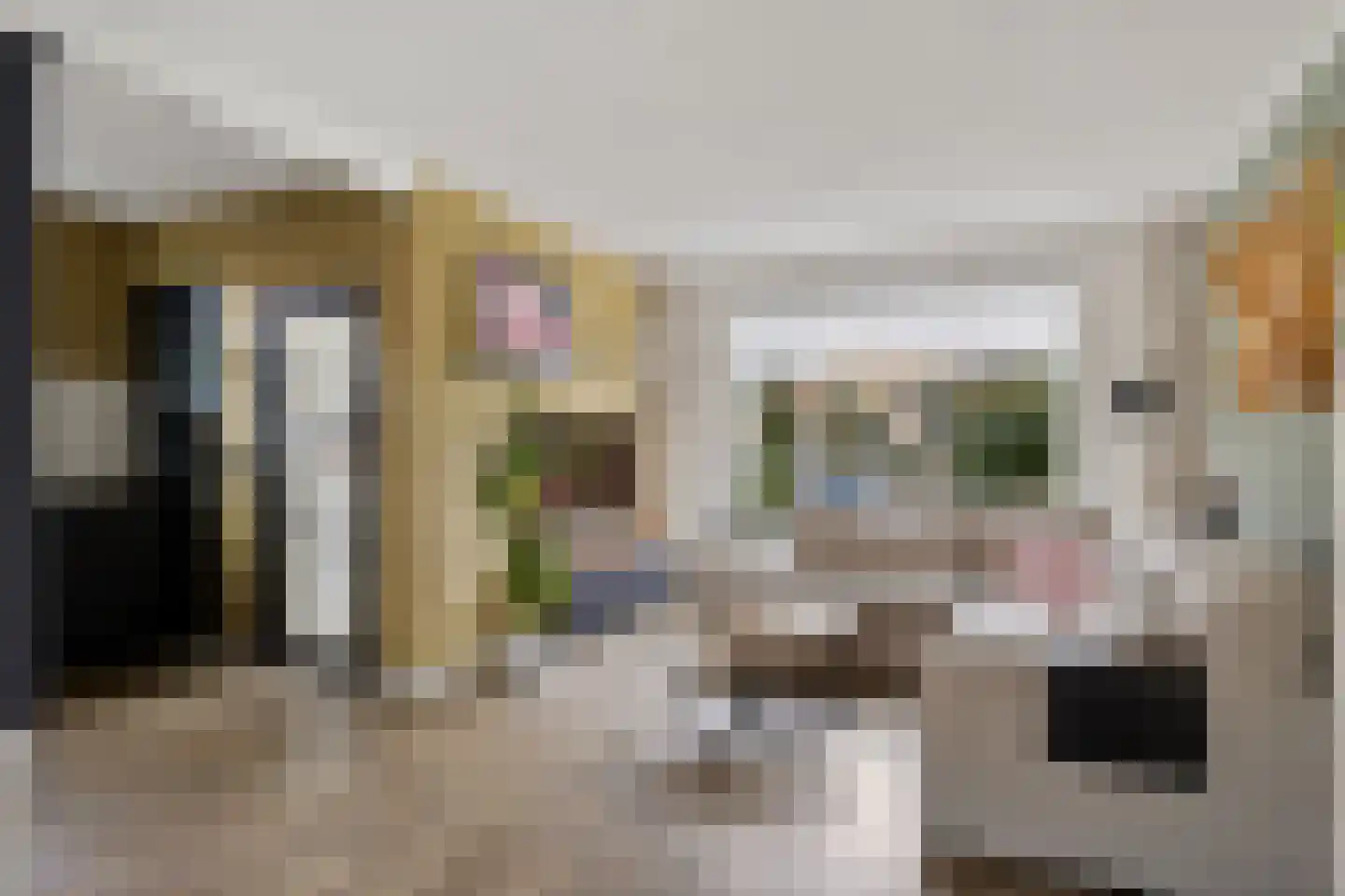 Hoedemakersweg 88 Dokkum thumbnail 8
