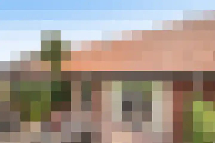 Hoedenmaker 9 Zevenhuizen thumbnail 27