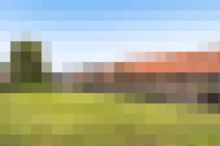 Hoedenmaker 9 Zevenhuizen thumbnail 30