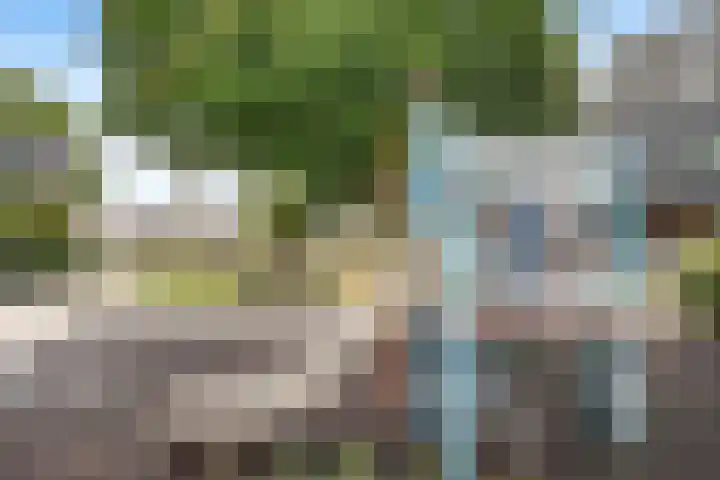 Hoedenmaker 9 Zevenhuizen thumbnail 33