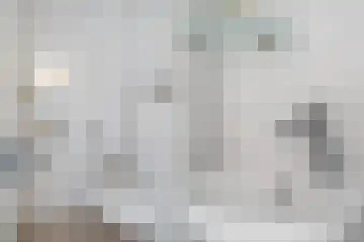 Hoedenmaker 9 Zevenhuizen thumbnail 6