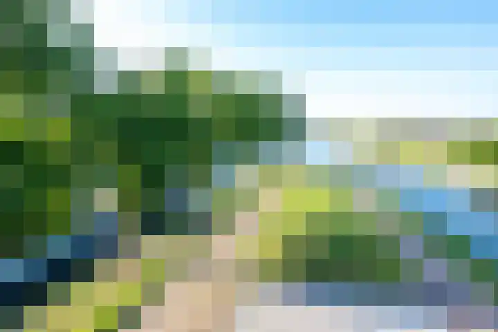 Hoedenmakersgilde 2 Dronten thumbnail 12