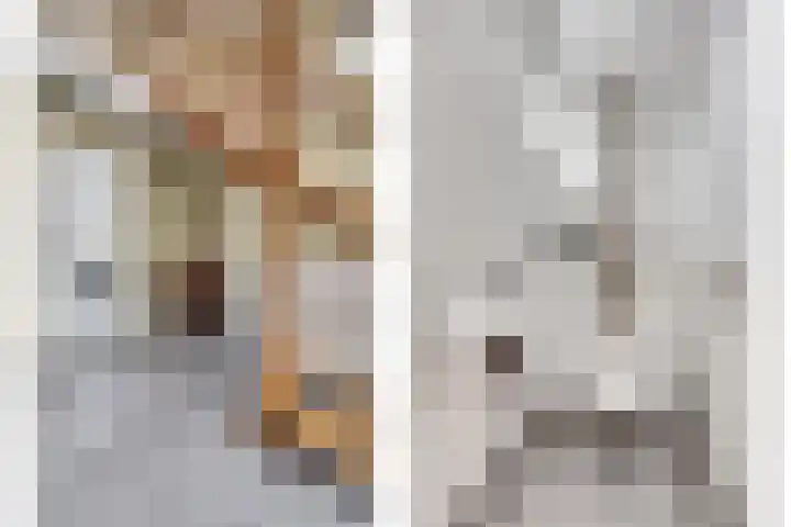 Hoedenmakersgilde 2 Dronten thumbnail 23