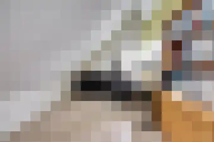 Hoedenmakersgilde 2 Dronten thumbnail 35