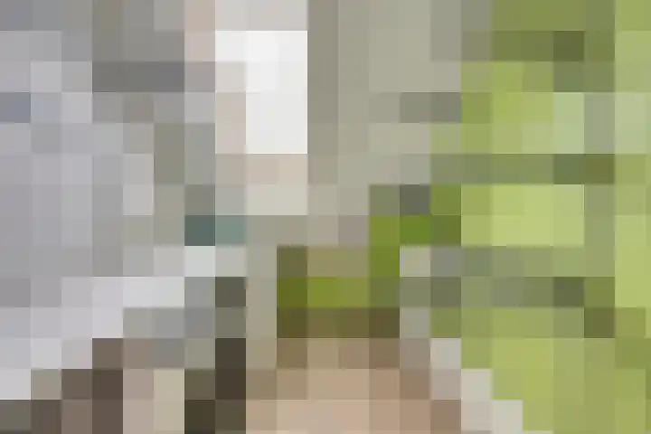 Hoedenmakersgilde 2 Dronten thumbnail 38