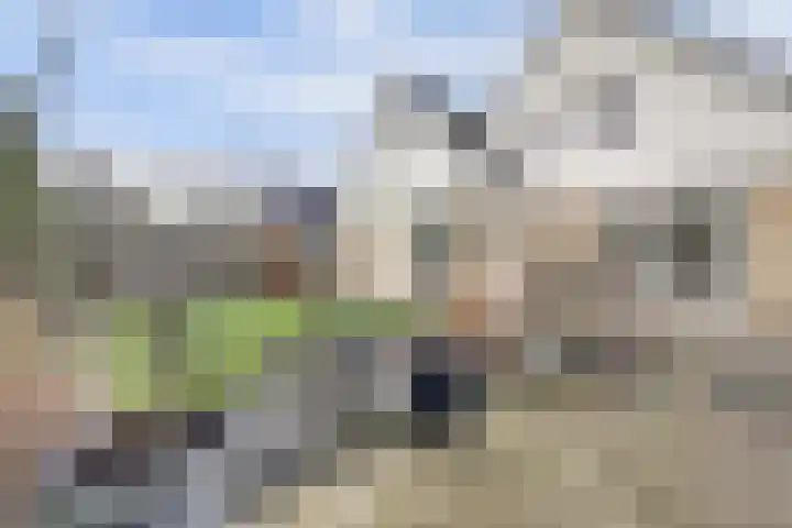 Hoedenmakersgilde 2 Dronten thumbnail 45