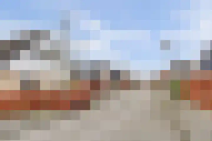 Hoedenmakersgilde 2 Dronten thumbnail 50