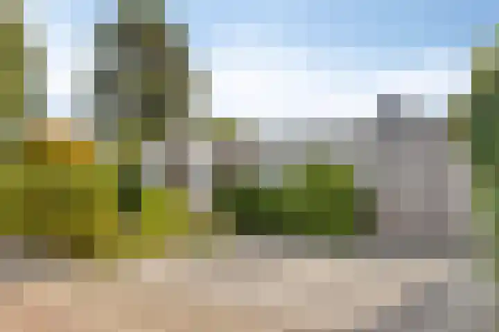 Hoedenmakersgilde 2 Dronten thumbnail 53