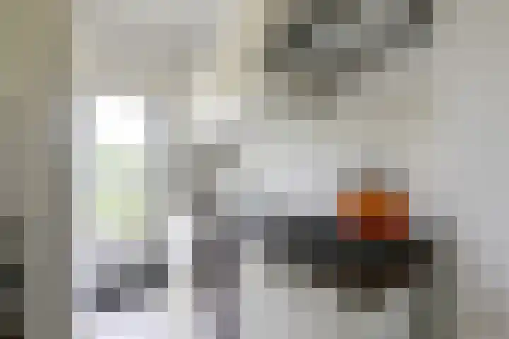 Hoedenmakersgilde 2 Dronten thumbnail 57