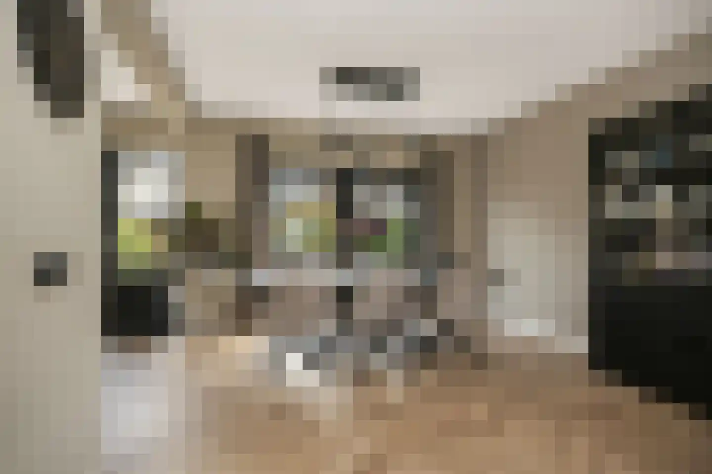 Hoedenmakersstraat 23 Kerkdriel thumbnail 10