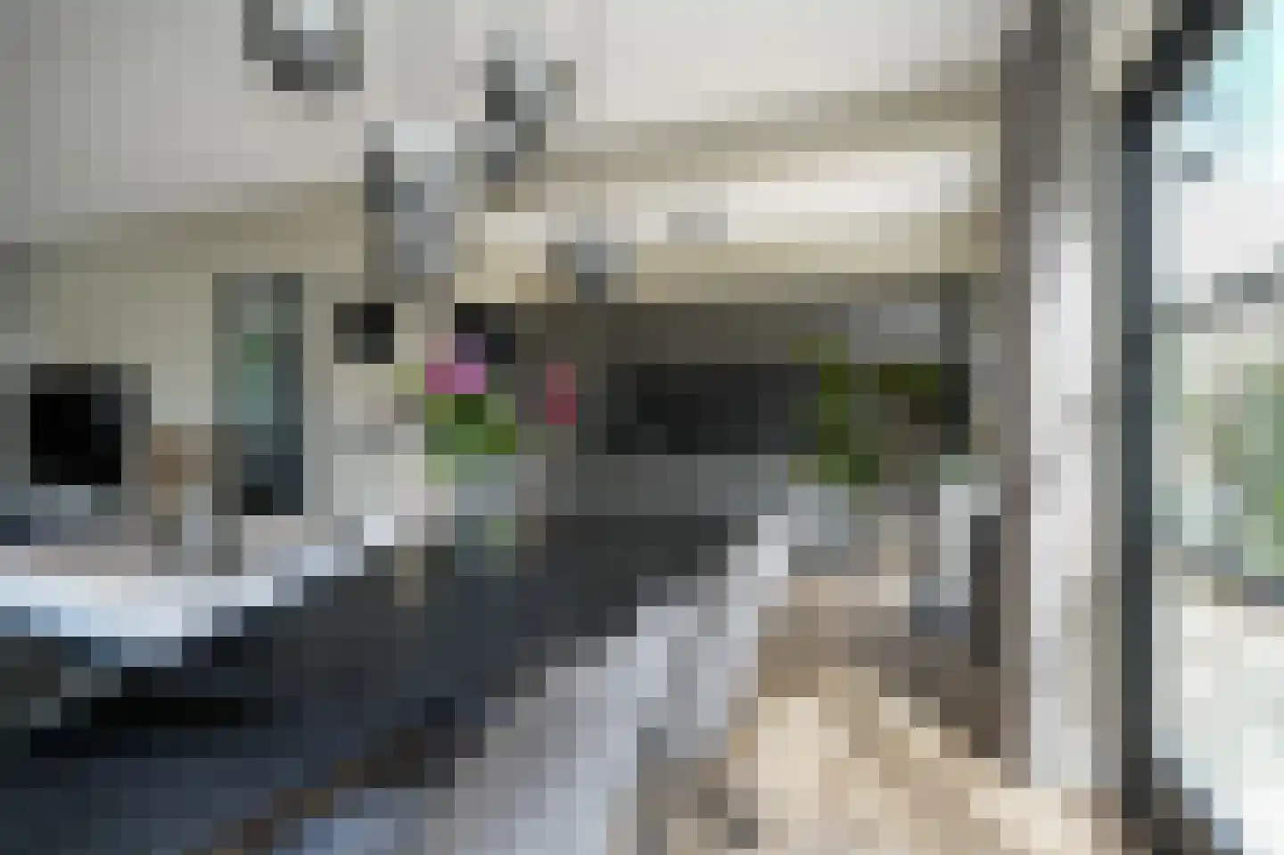 Hoedenmakersstraat 23 Kerkdriel thumbnail 14
