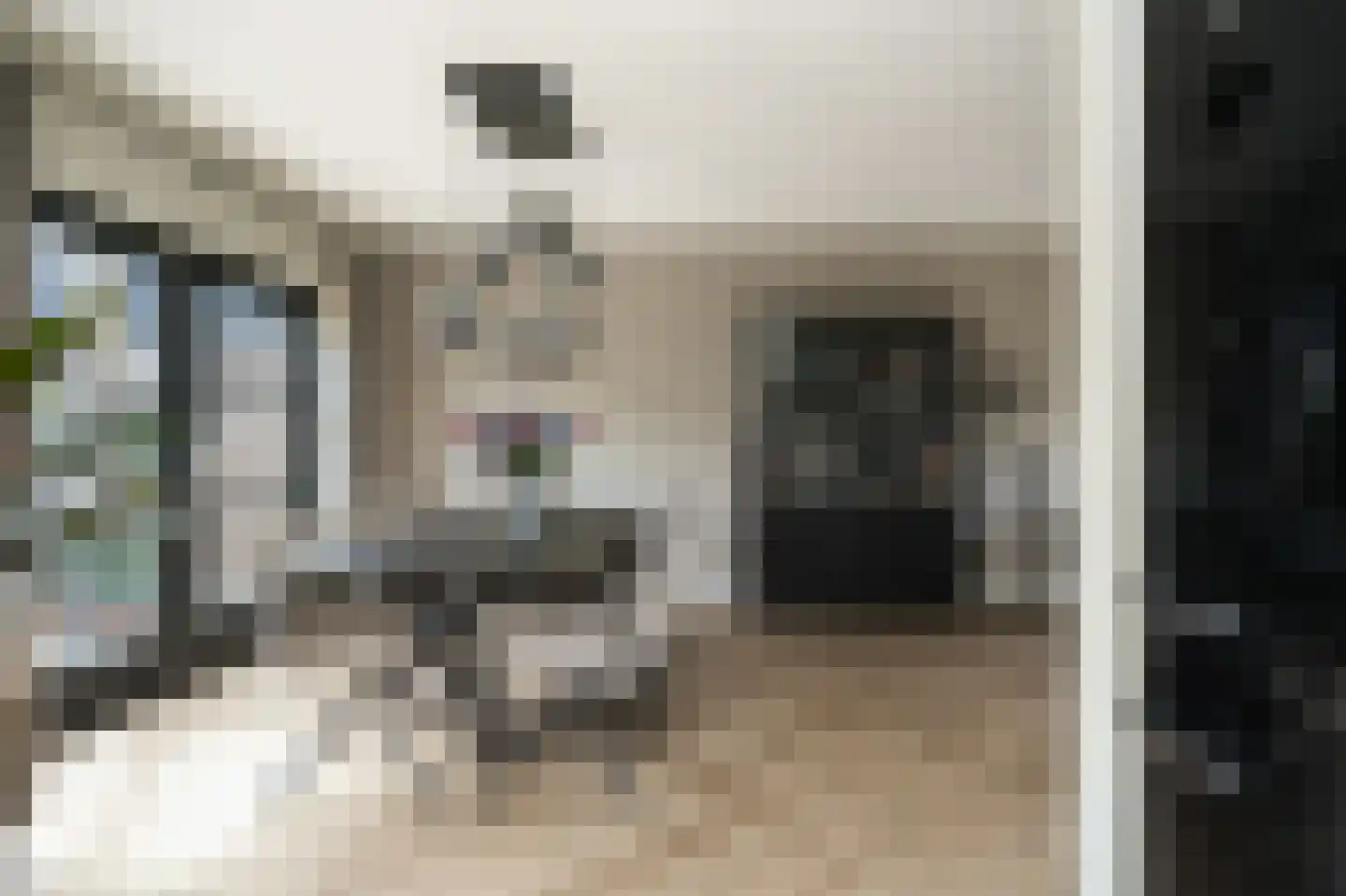 Hoedenmakersstraat 23 Kerkdriel thumbnail 17