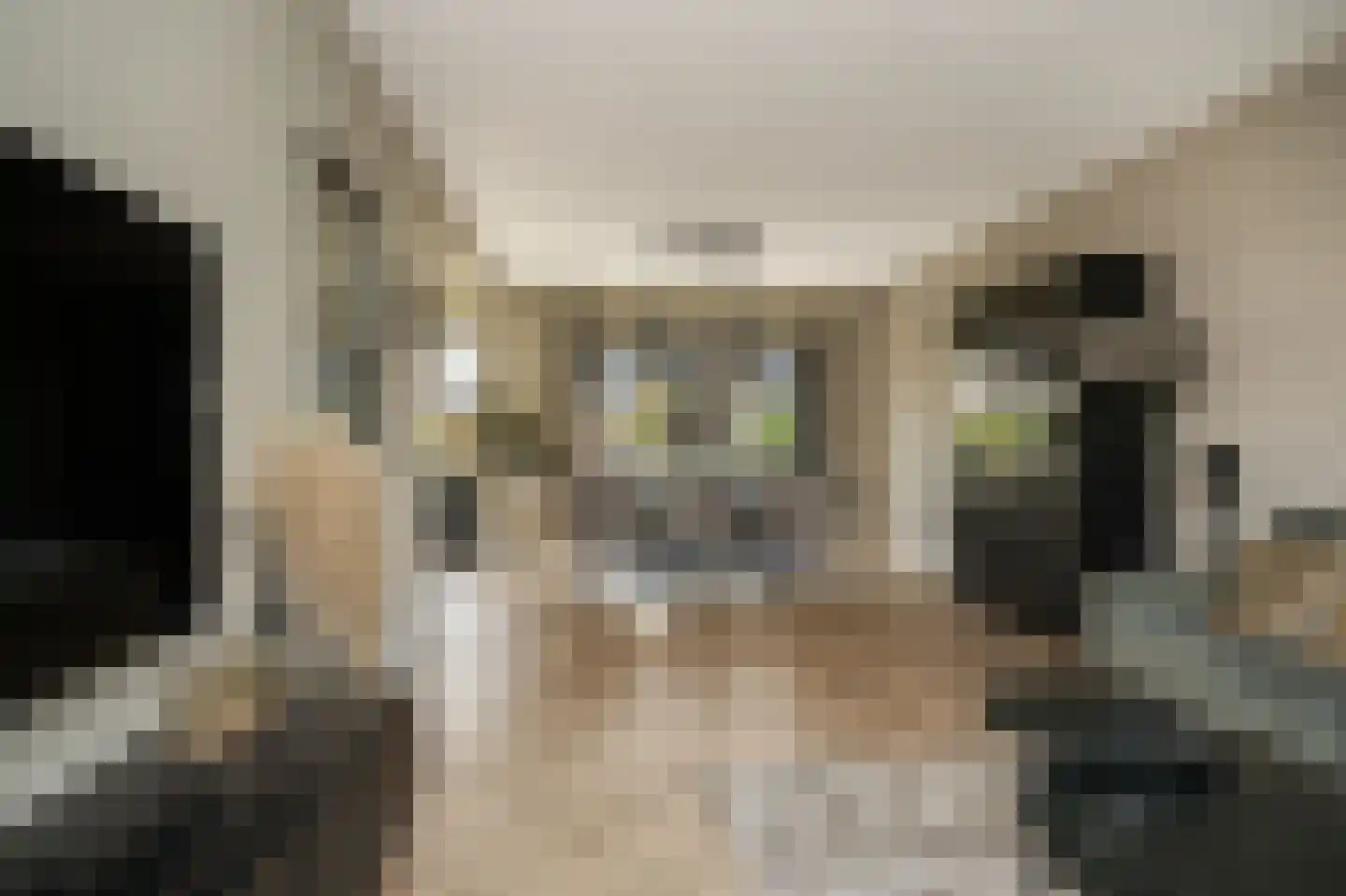 Hoedenmakersstraat 23 Kerkdriel thumbnail 7