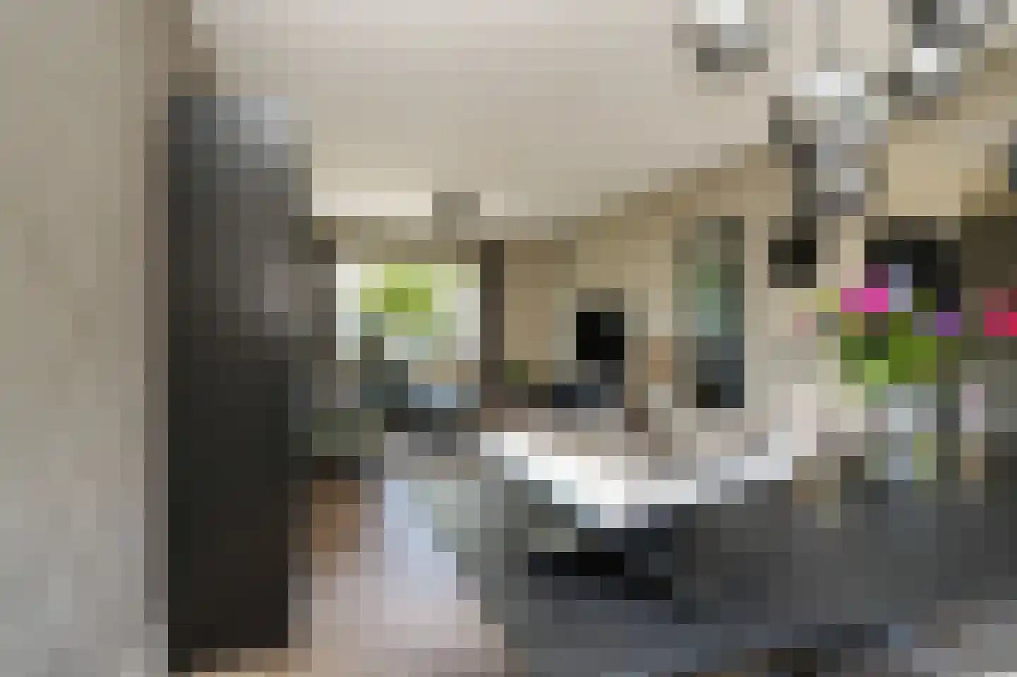 Hoedenmakersstraat 23 Kerkdriel thumbnail 8