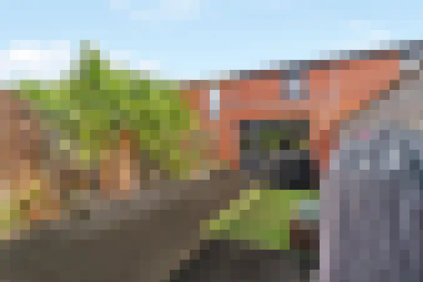 Hoedenmakerstraat 18 Zwolle thumbnail 25