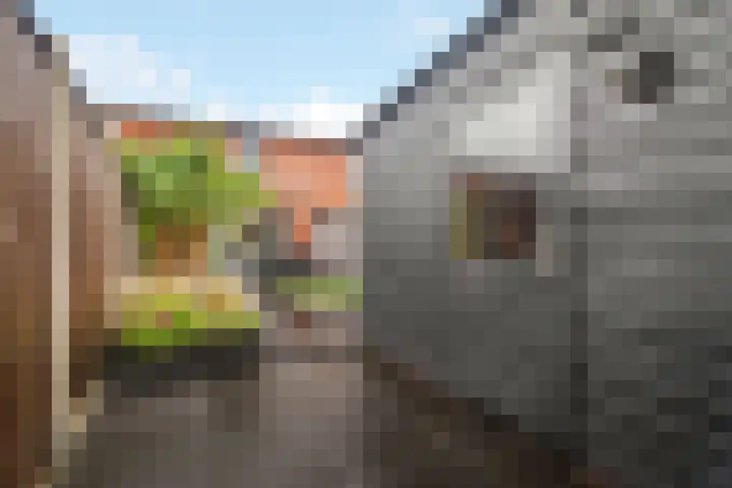 Hoedenmakerstraat 18 Zwolle thumbnail 27