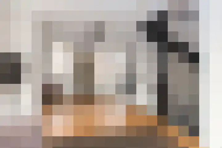 Hoedenmakersveste 19 Arnhem thumbnail 18