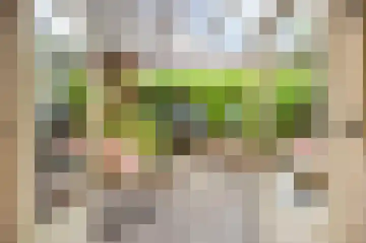 Hoedenmakersveste 22 Arnhem thumbnail 14
