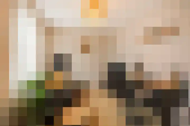 Hoedenmakersveste 22 Arnhem thumbnail 26