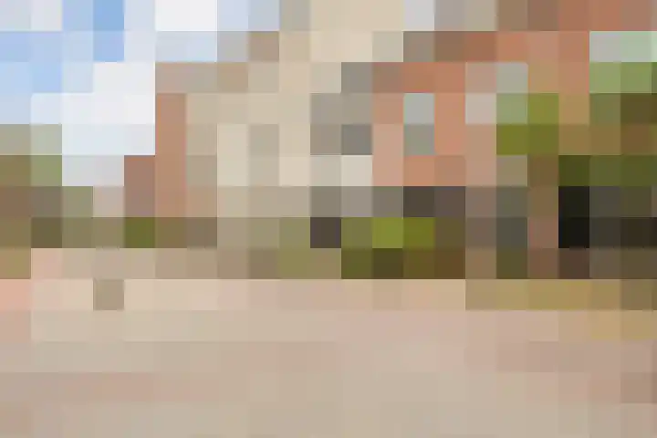 Hoedenmakersveste 22 Arnhem thumbnail 33