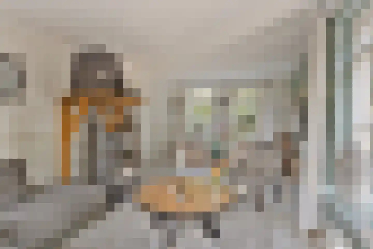 Hoef 2 a Ochten thumbnail 10