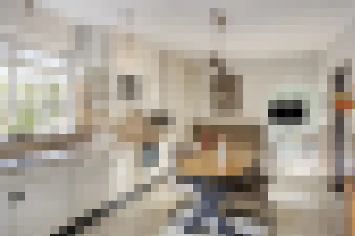 Hoef 2 a Ochten thumbnail 13