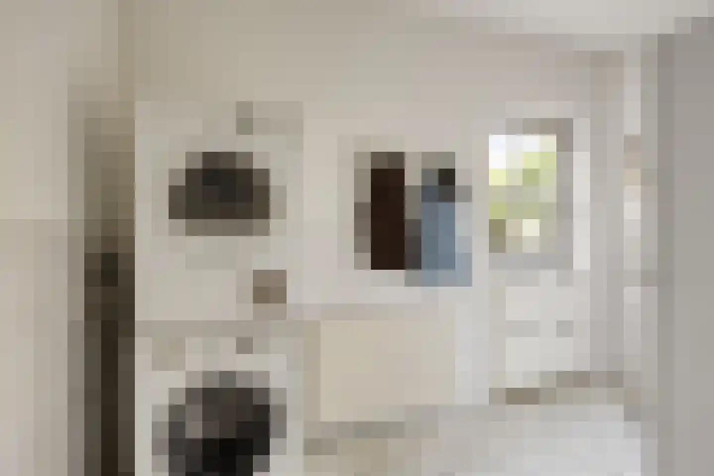 Hoef 2 a Ochten thumbnail 15