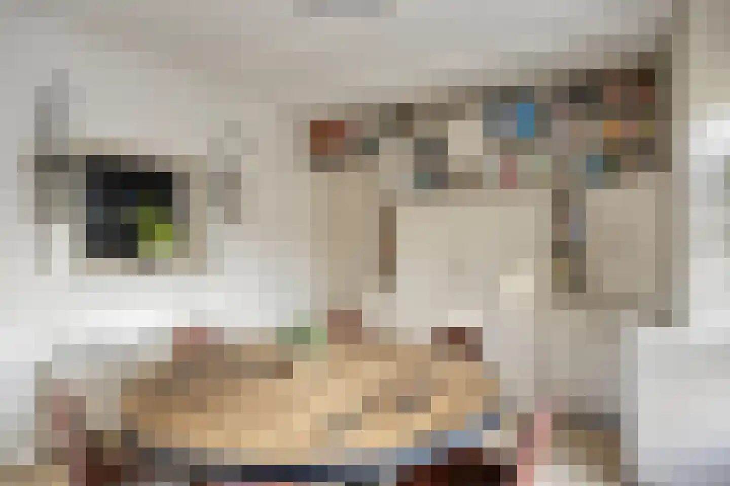 Hoef 2 a Ochten thumbnail 19