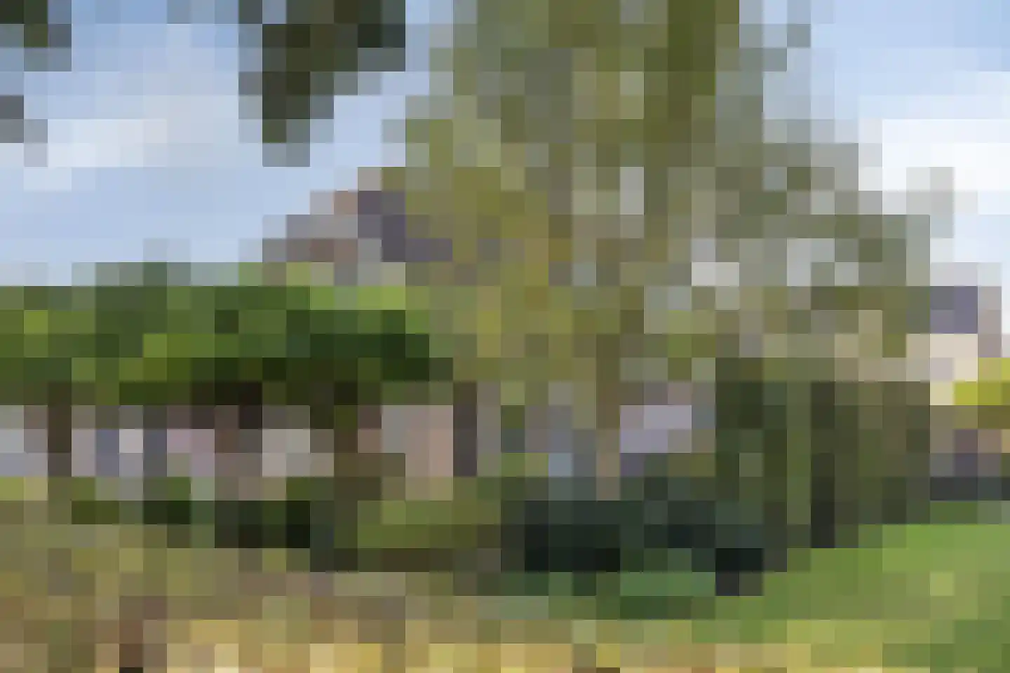 Hoef 2 a Ochten foto 3